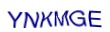 simple_captcha.jpg