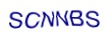 simple_captcha.jpg